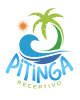 Transfer Porto Seguro